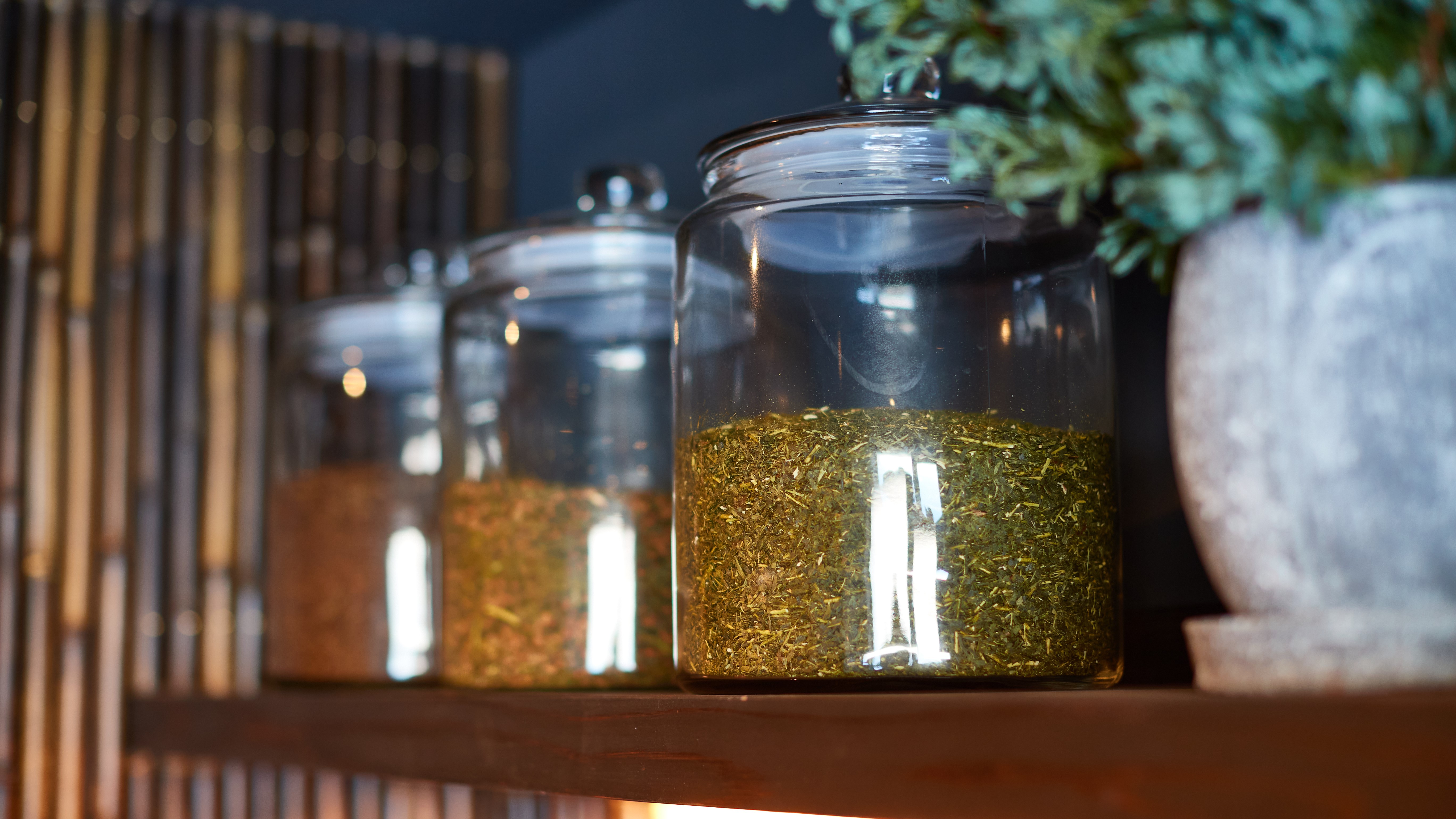  「お茶」をテーマとした貸切サウナ