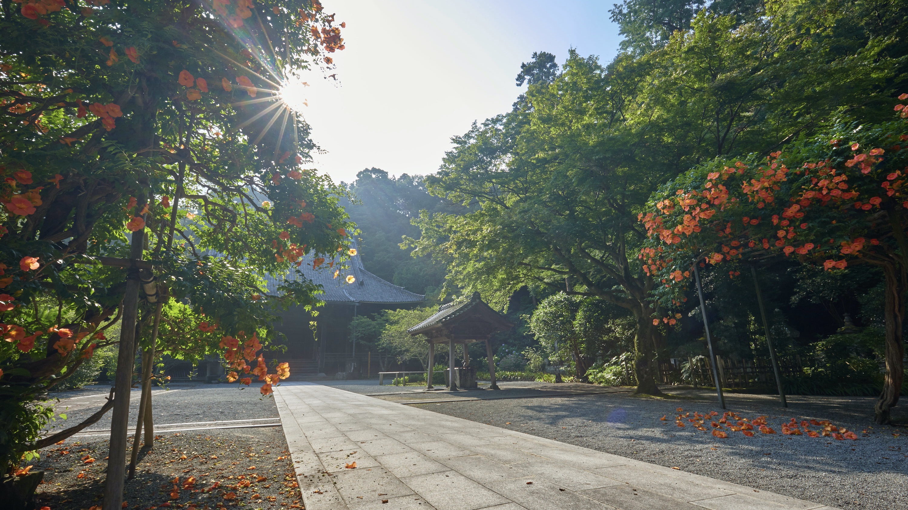 「妙本寺」鎌倉駅徒歩9分