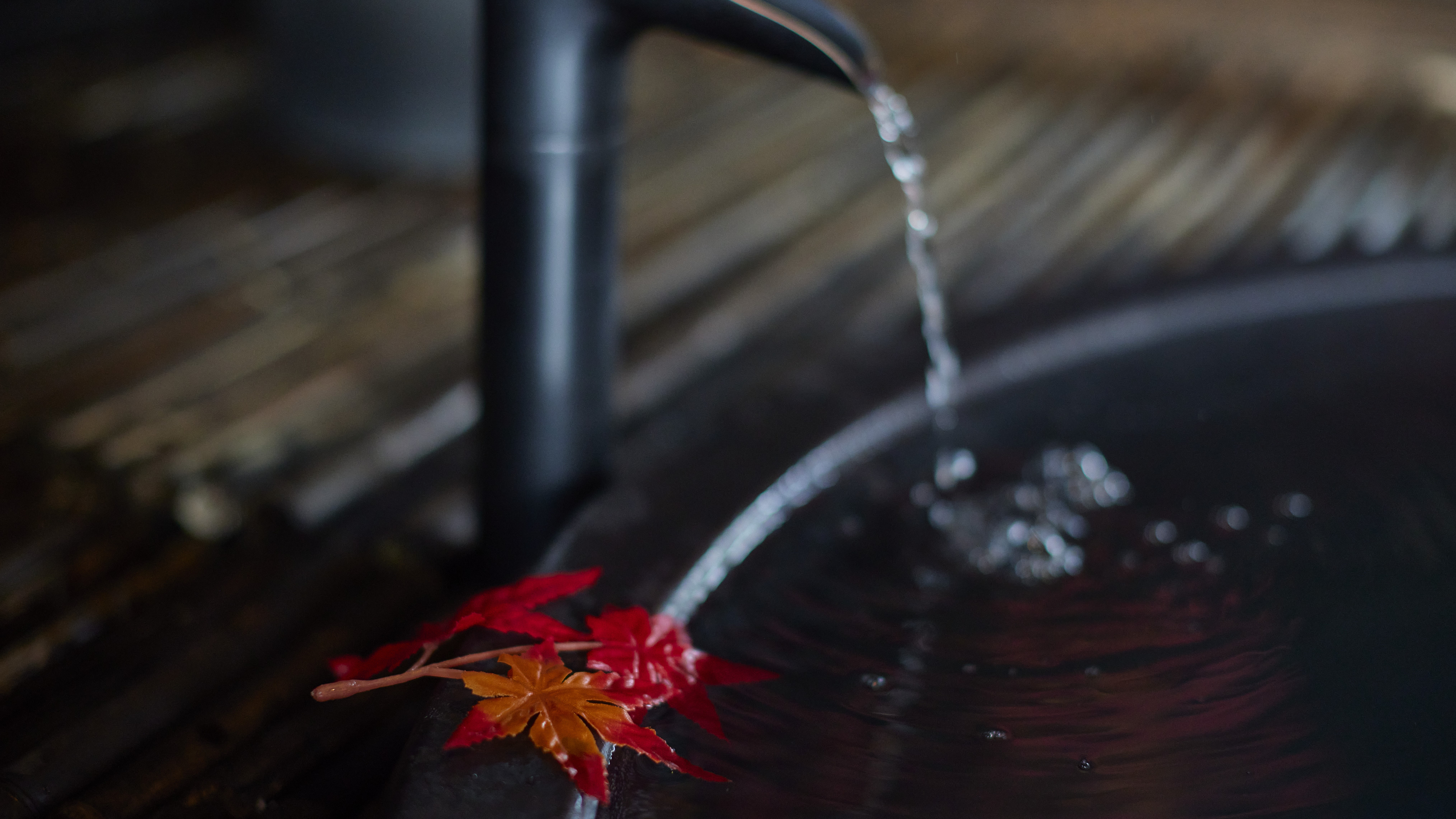 季節よって異なる彩りもお楽しみください