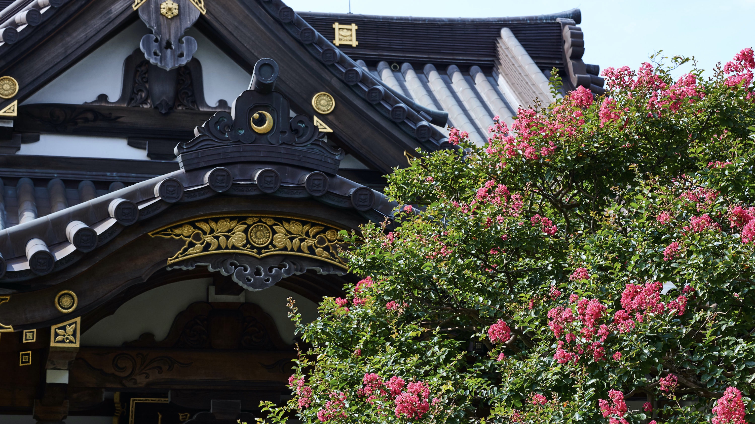 「妙陸寺」鎌倉駅徒歩12分