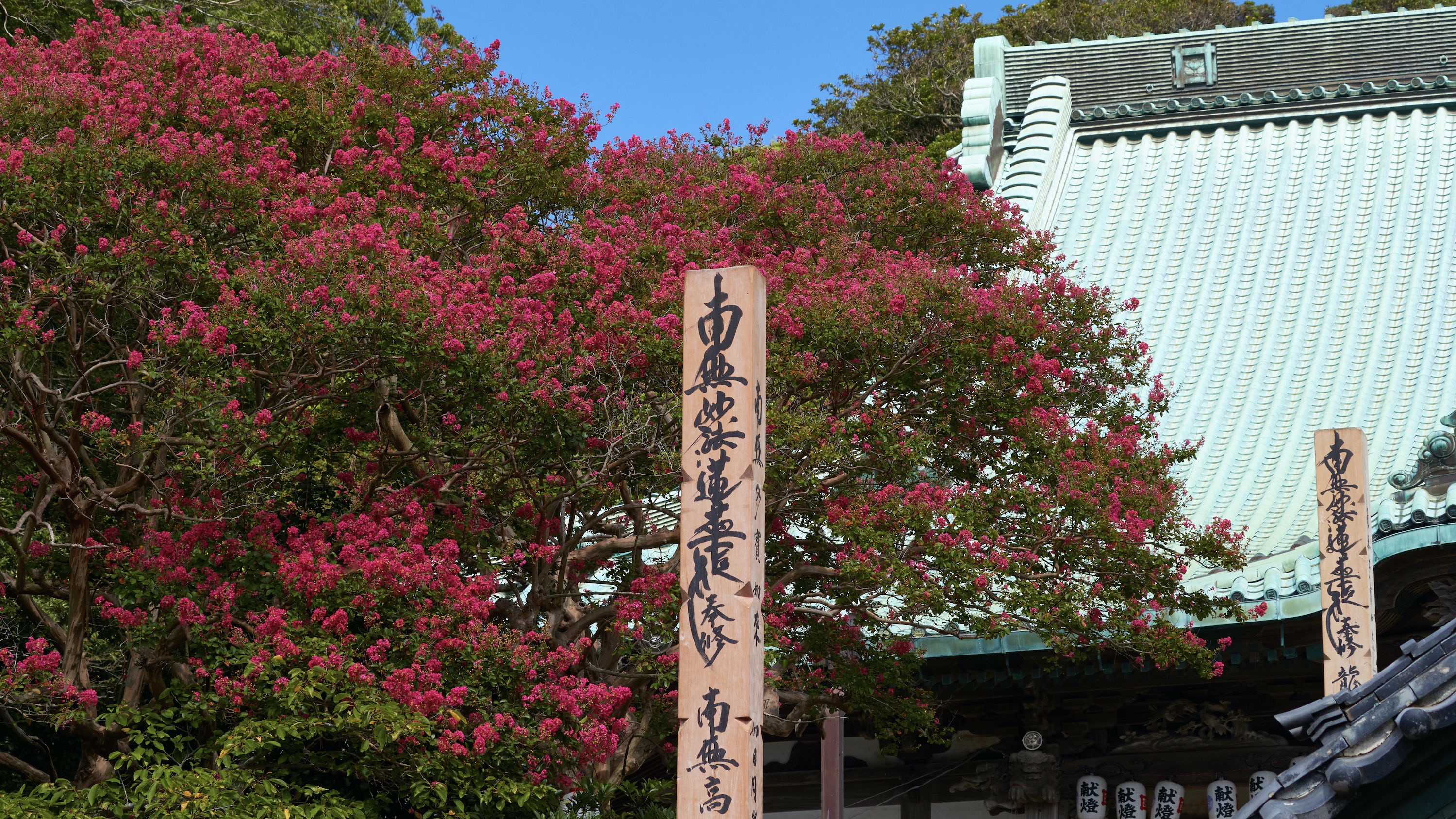 「龍口寺」江ノ島駅徒歩3分