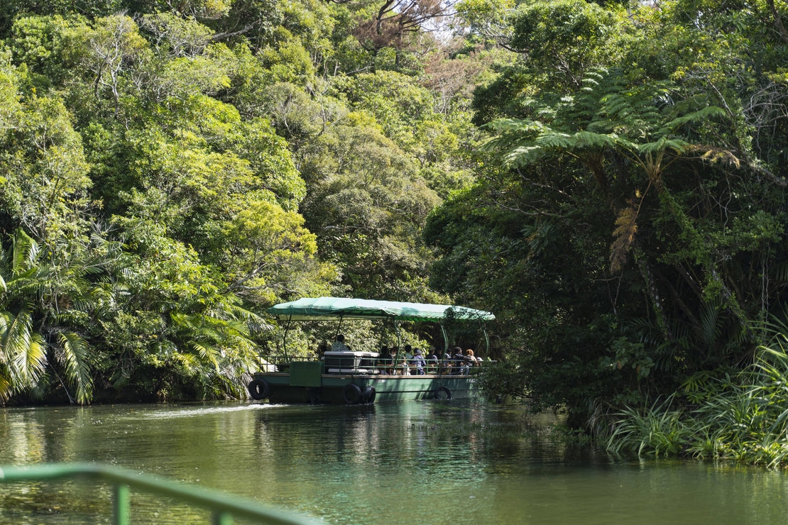 【ビオスの丘入園券＆ドクターフィッシュ体験50％OFF】湖水観賞舟1回＆あそびも楽しめます＜素泊り＞