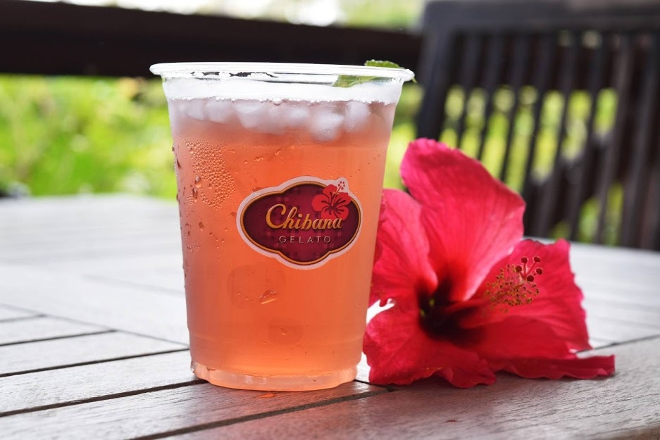 【東南植物楽園1DAYパス＆ハイビスカスティー付き】光が咲き誇る夜の楽園へ＜素泊まり＞