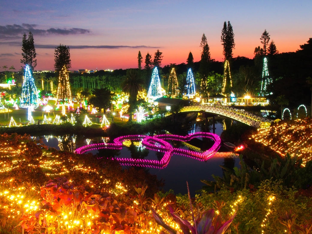 【東南植物楽園1DAYパス＆ハイビスカスティー付き】光が咲き誇る夜の楽園へ＜素泊まり＞