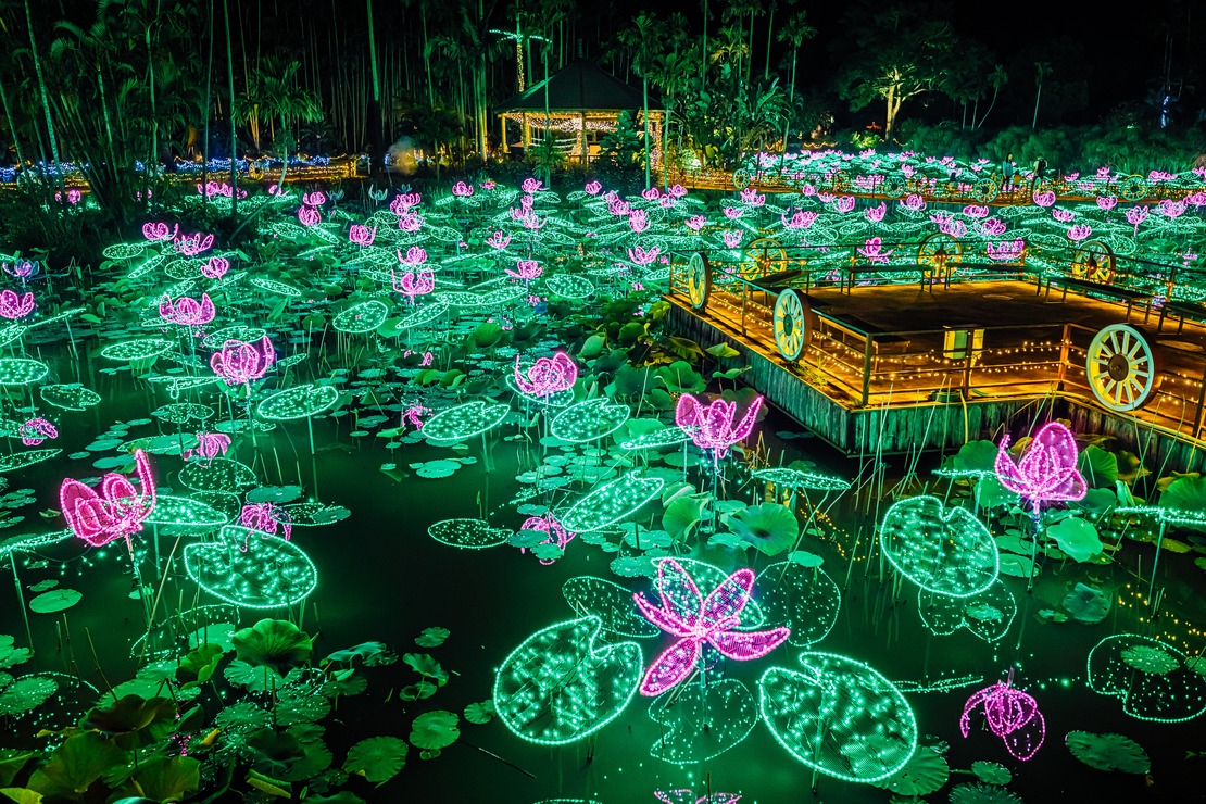 【東南植物楽園1DAYパス＆ハイビスカスティー付き】光が咲き誇る夜の楽園へ＜素泊まり＞