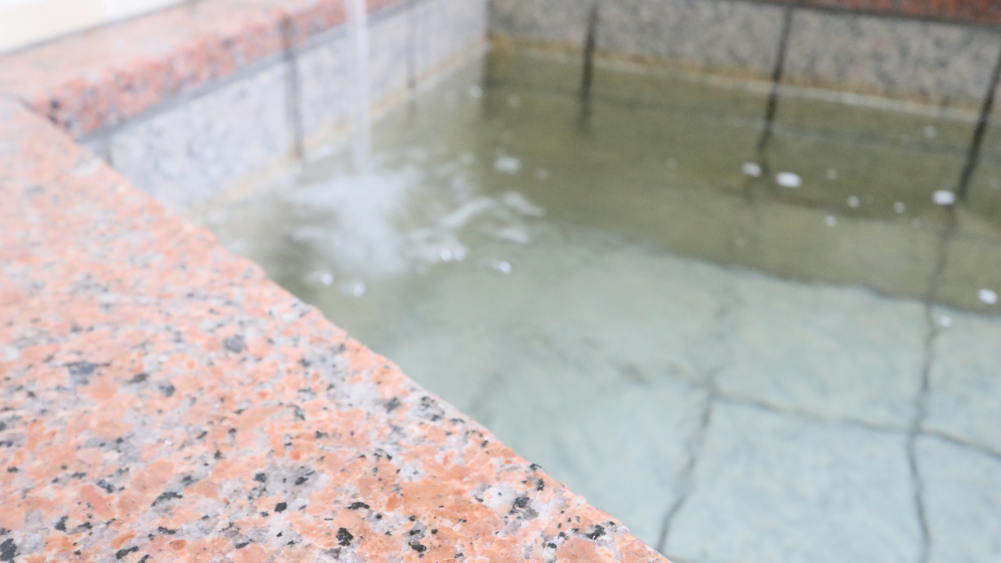 漁師がやる宿 民宿あきら 篠島 写真 動画 楽天トラベル 漁師がやる宿 民宿あきら 篠島 写真 動画 楽天トラベル