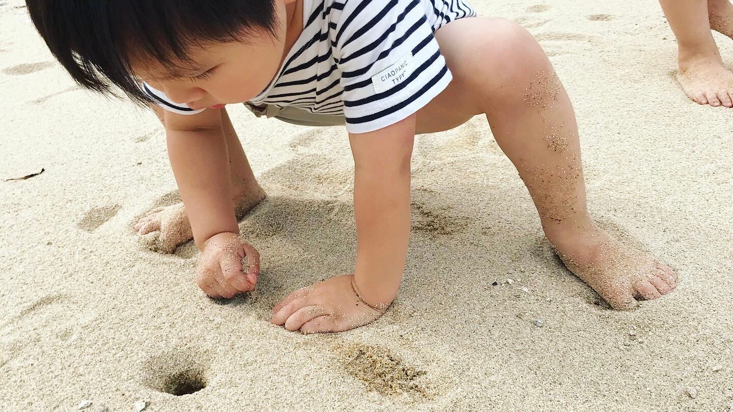 海水浴、ビーチ散策