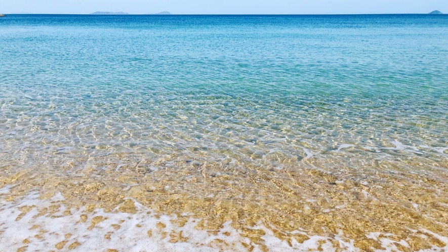 きれいで穏やかな海