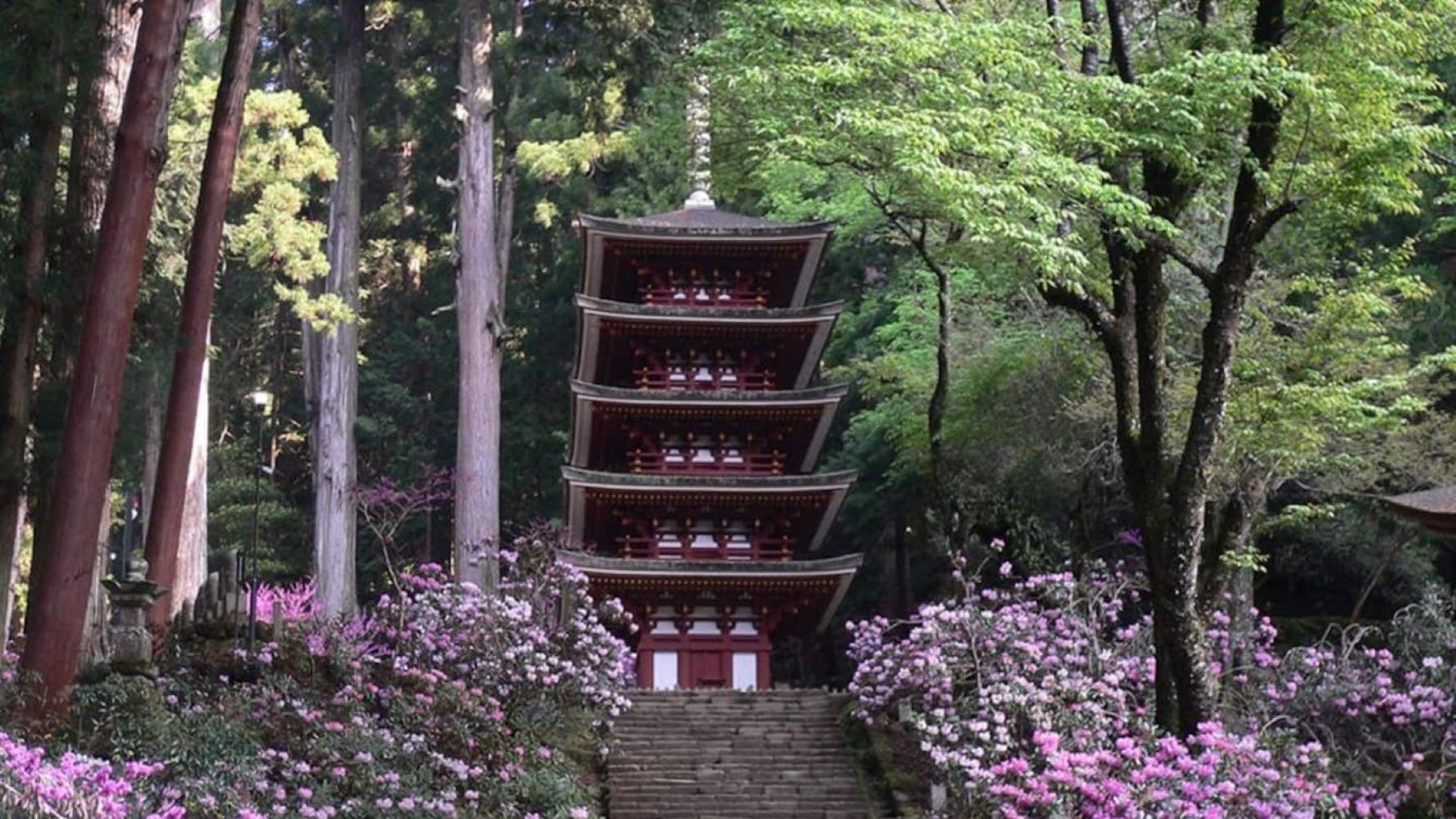 周辺観光地