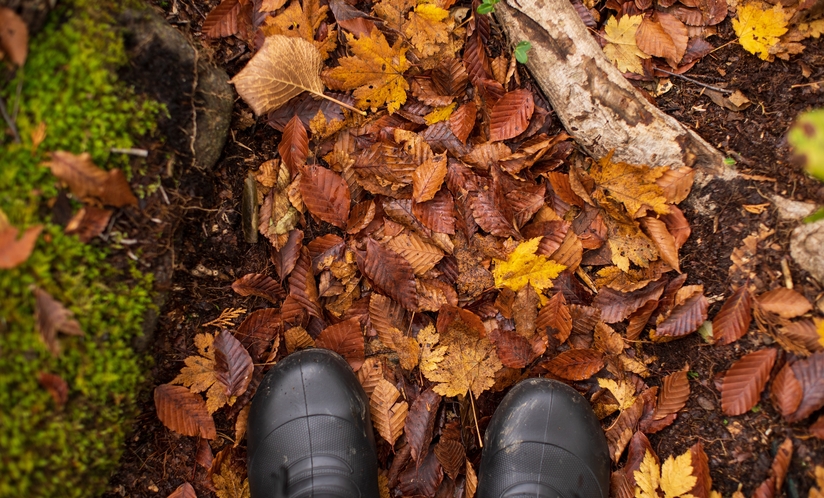 秋のトレイルは落ち葉のじゅうたん