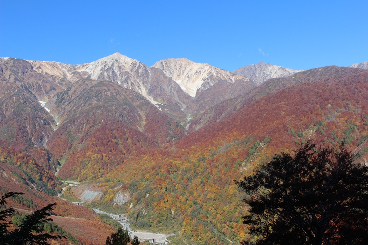標高3,000m級の北アルプスの足元に紅葉の大絶景が広がるHakuba Valley