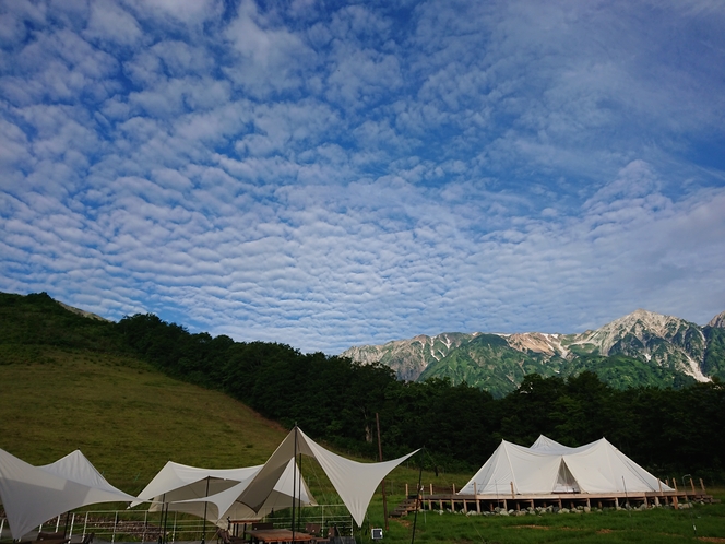 夏の涼しい朝の青空に広がるうろこ雲