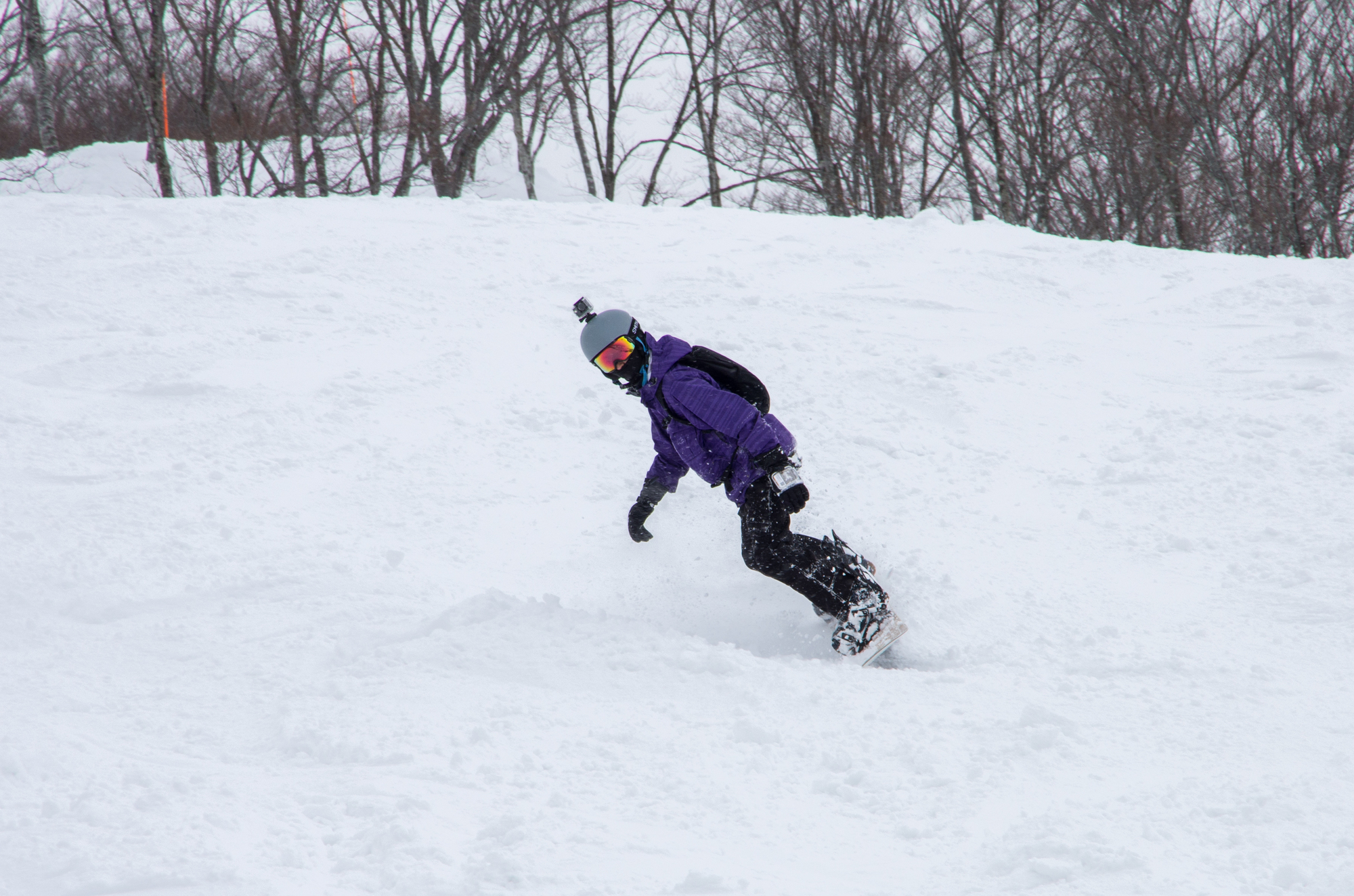【ロッテアライリゾート】当館から車で約20分