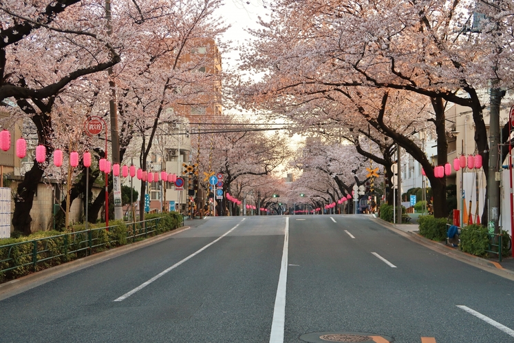 春の東京の様子