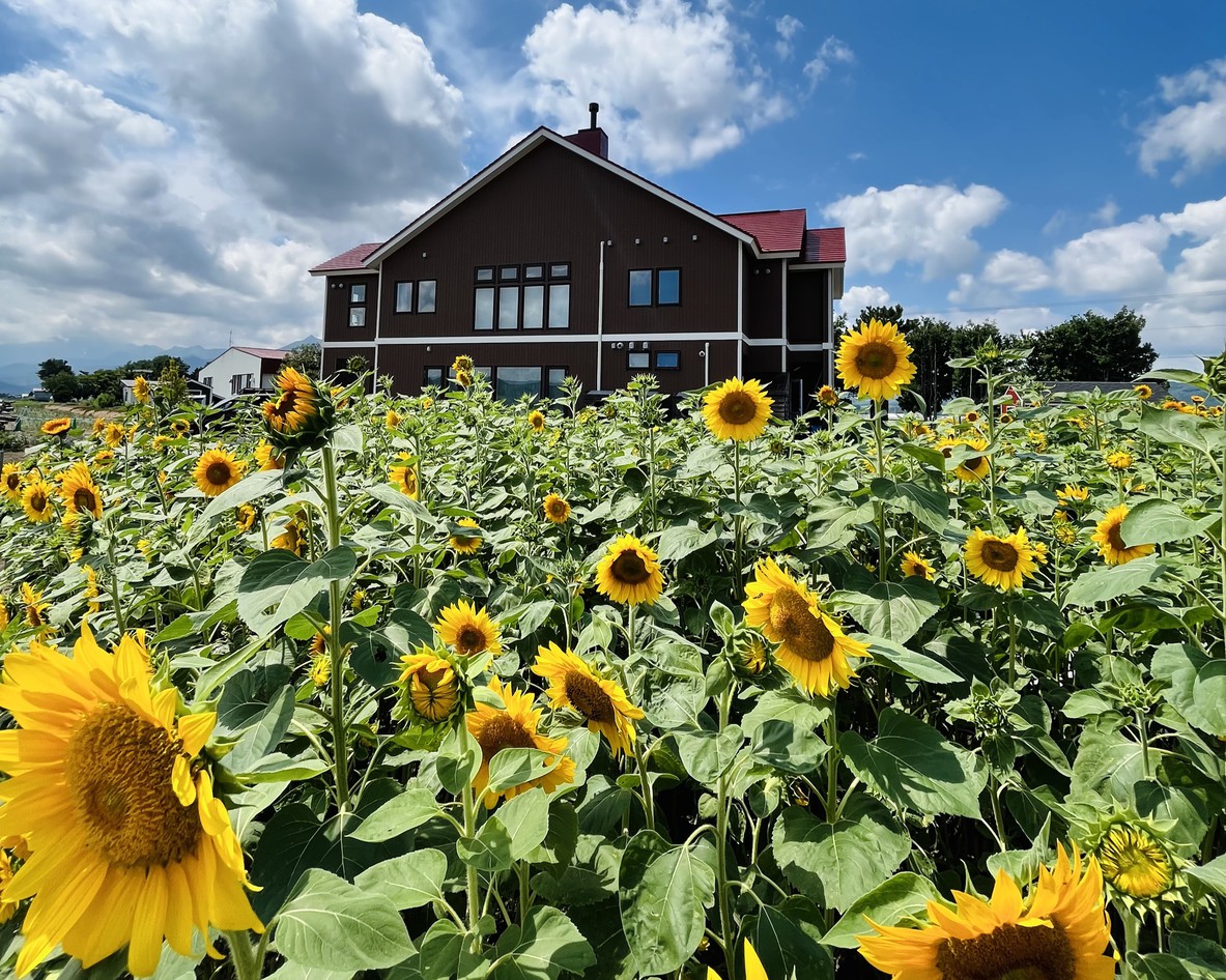 【ご1泊からOK】★朝食付★　大きな窓から美しい山々を眺めながら、手作り朝食を…