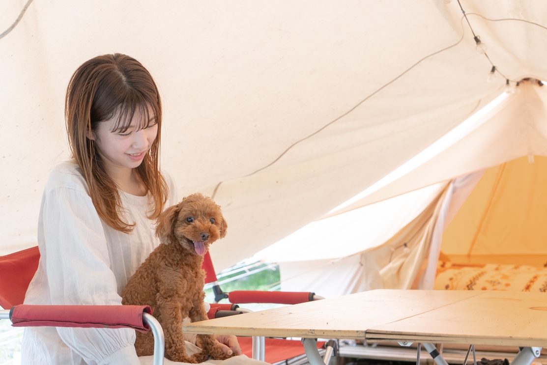 【愛犬と一緒にステイ】ドッググランピングテント｜グランピングテントで楽しむBBQ＋朝食キット付き