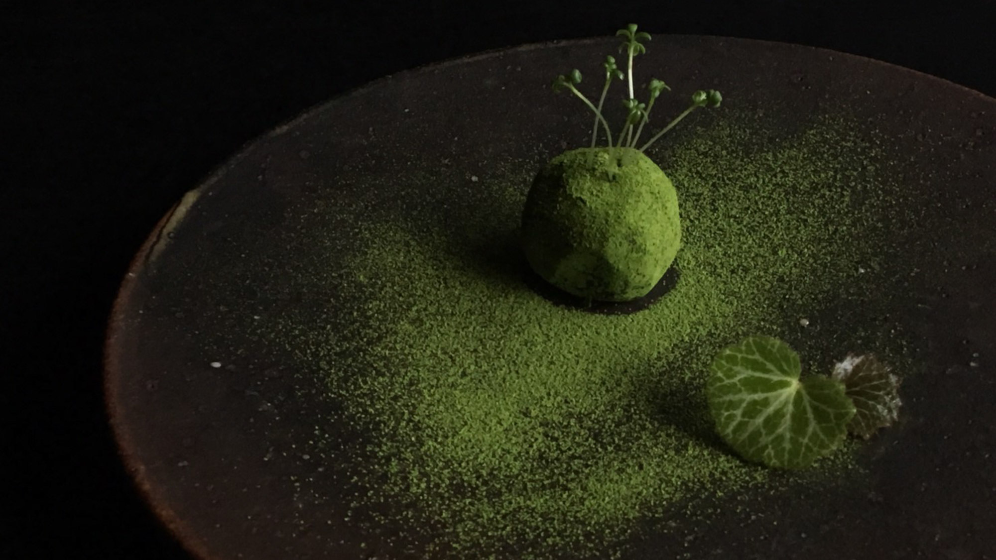 —Special Plan— 「泊まるための宿」から「食べるための宿」へ