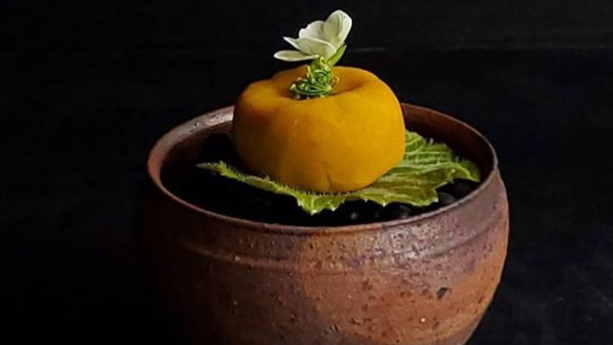 —Special Plan— 「泊まるための宿」から「食べるための宿」へ