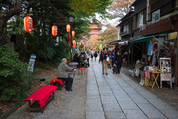 【周辺案内】「法華経寺」徒歩10分