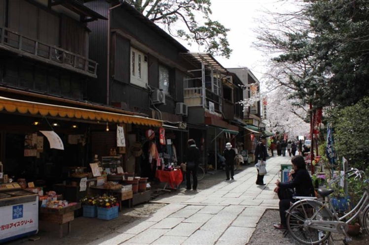 【周辺案内】「法華経寺」徒歩10分