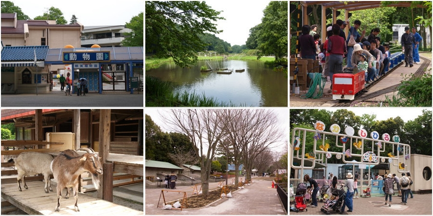 【レジャー】市川動植物園　お車で22分