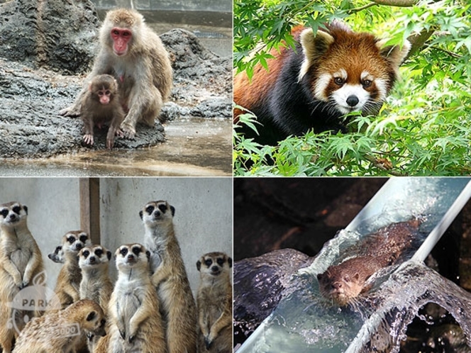 【レジャー】市川動植物園　お車で22分