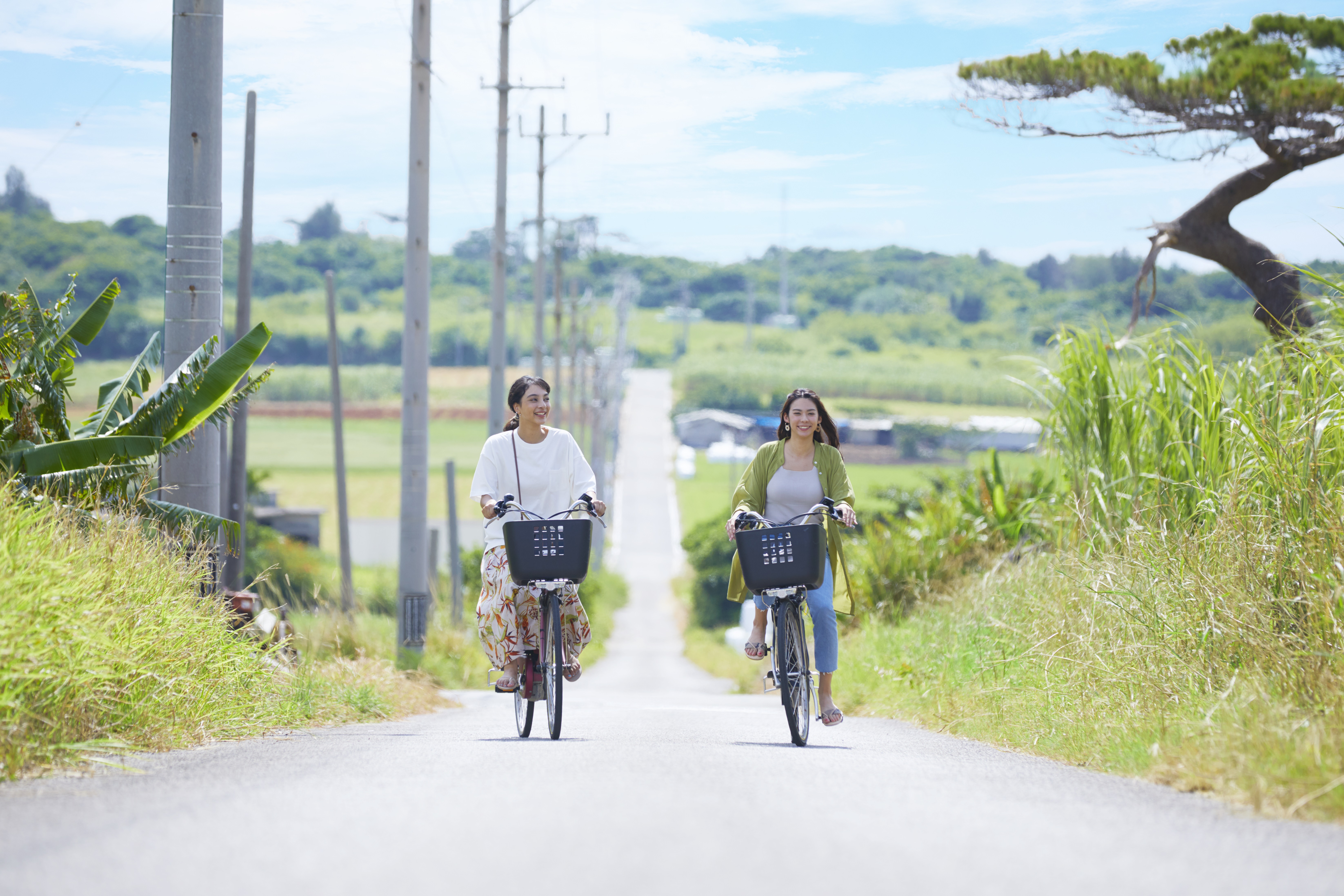 レンタサイクルで島内観光