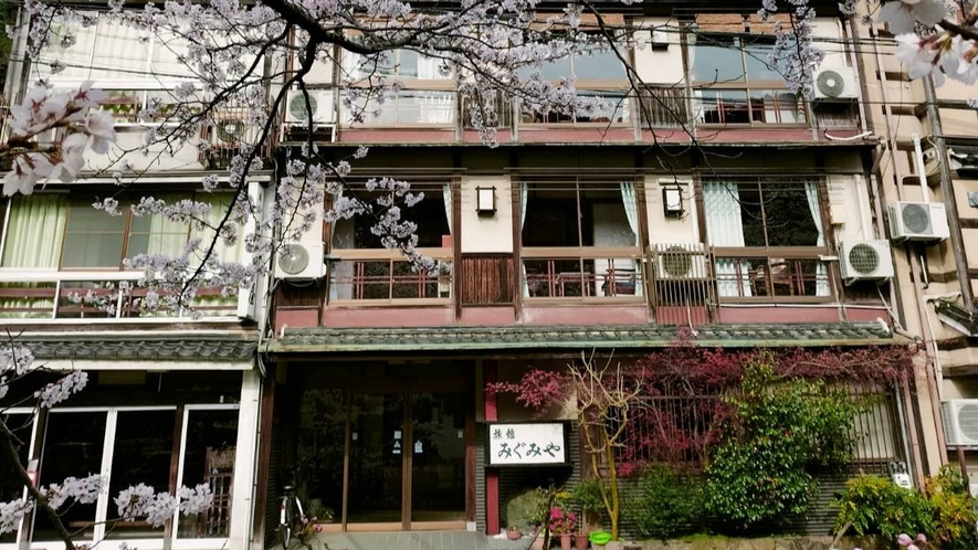 桜シーズンのみぐみや旅館