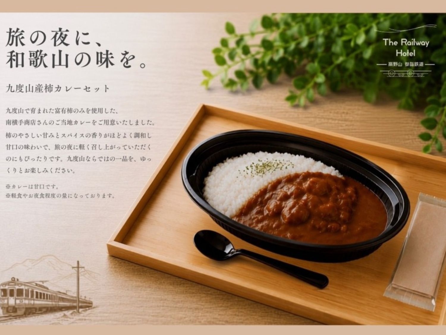 【お夜食ご当地カレー付／1泊2日】電車好きの方必見！客室から電車を望む特別ステイ♪（高野）