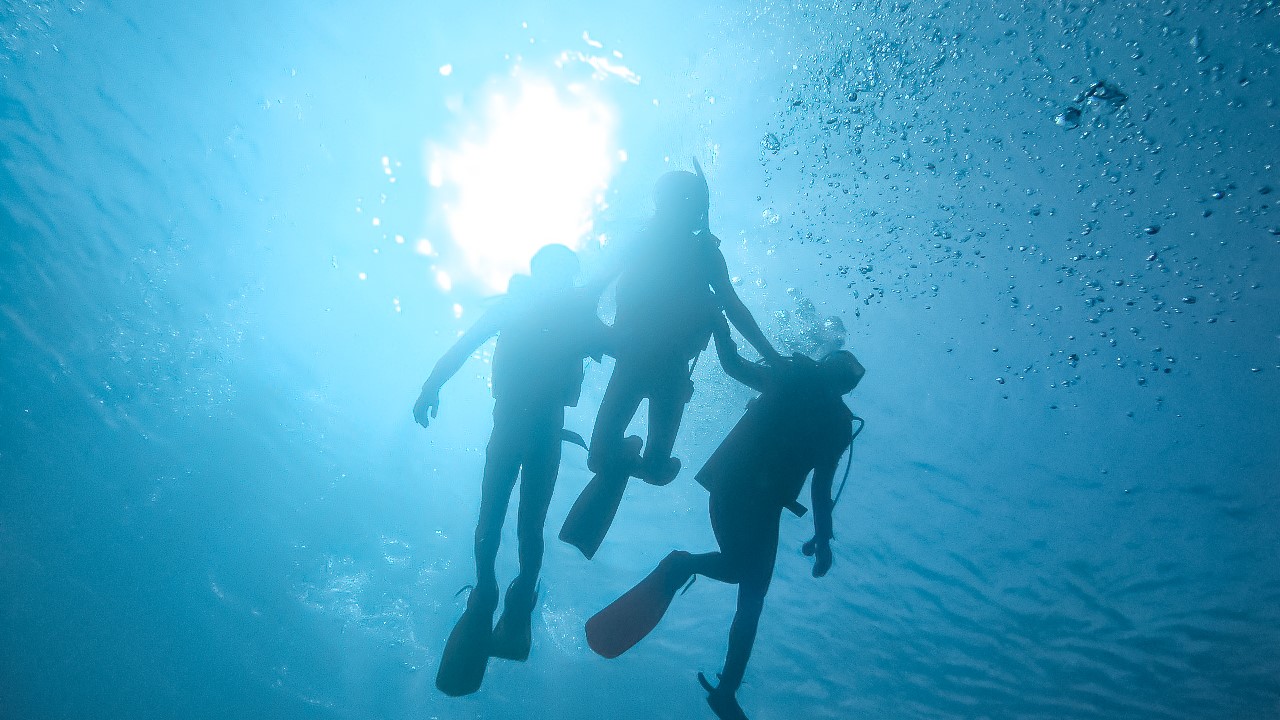 【アクティビティ】神秘的な光のカーテン。感動のダイビング体験。