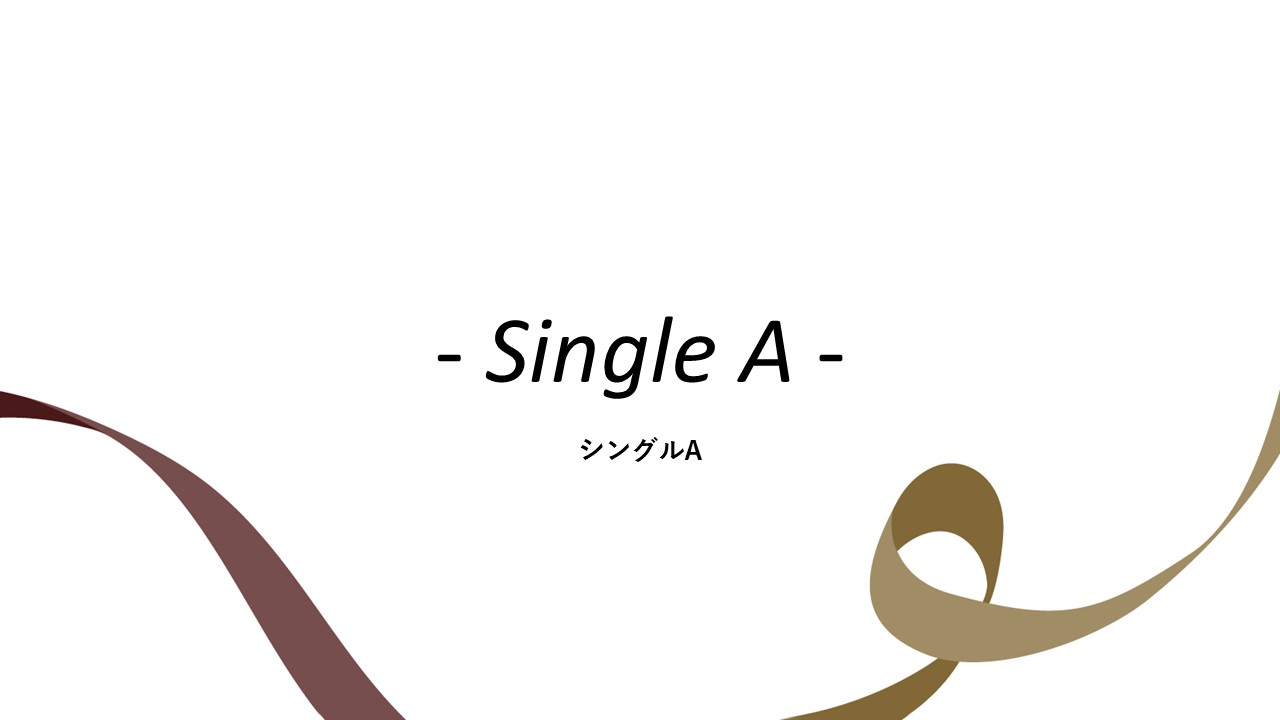 客室紹介(シングルA)