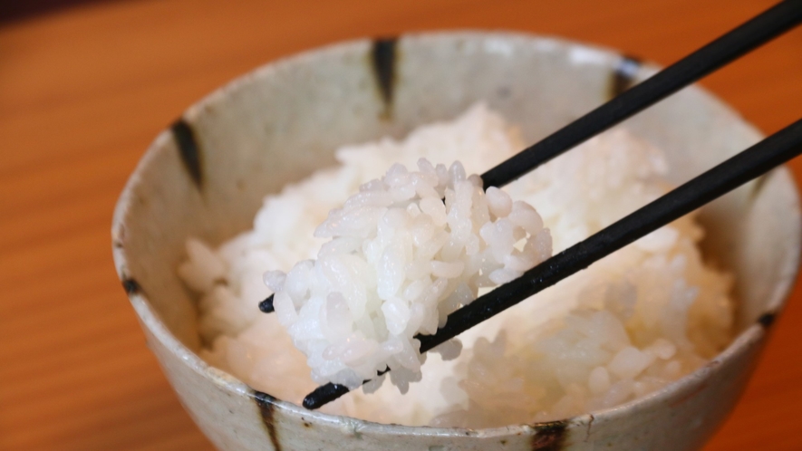 【朝食】山梨県産コシヒカリ