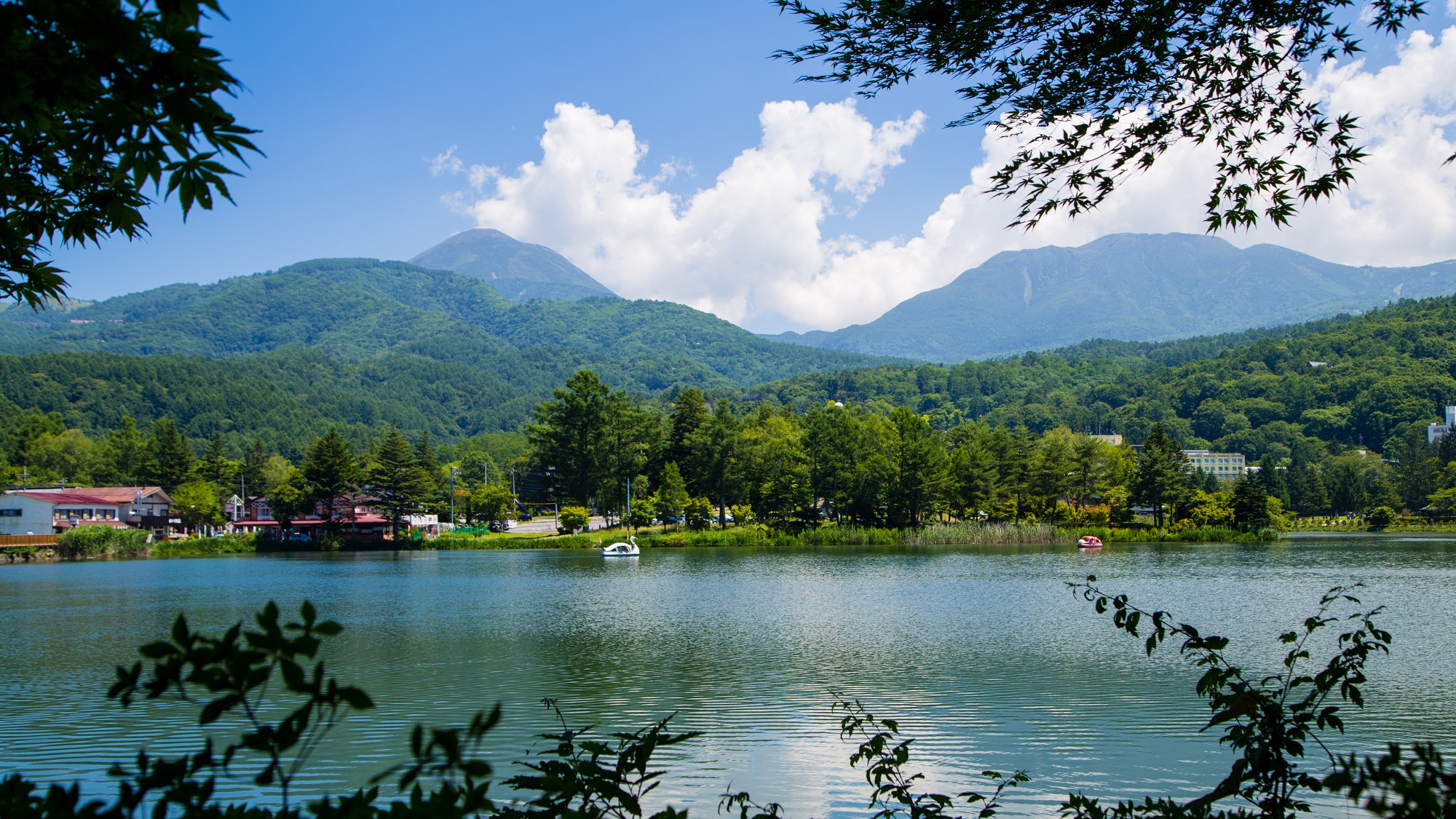 【周辺】夏の蓼科湖。