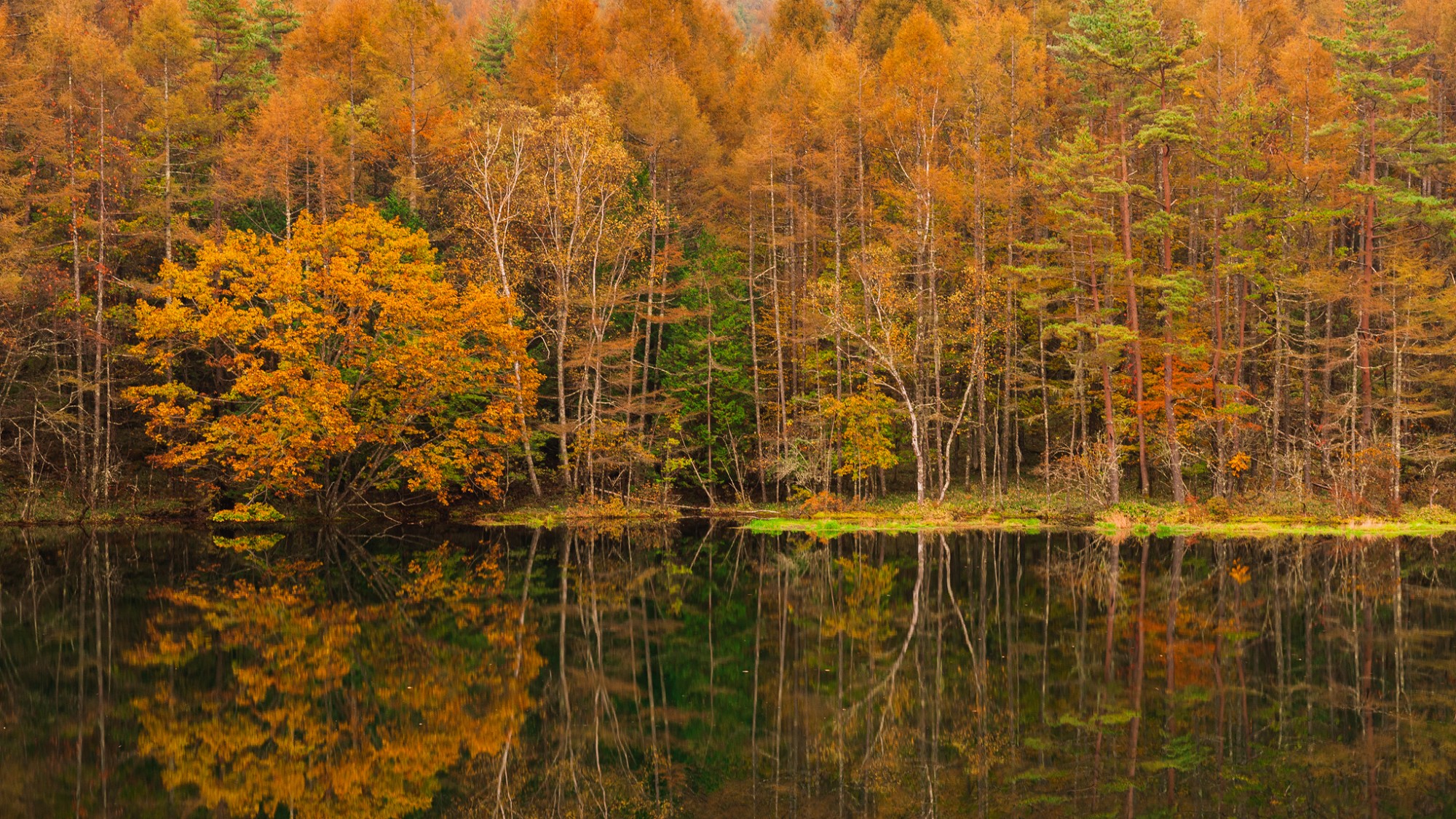 【周辺】紅葉の蓼科湖。