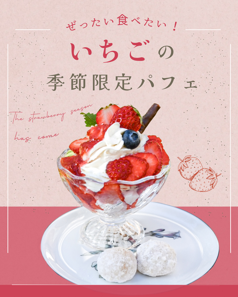 写真7