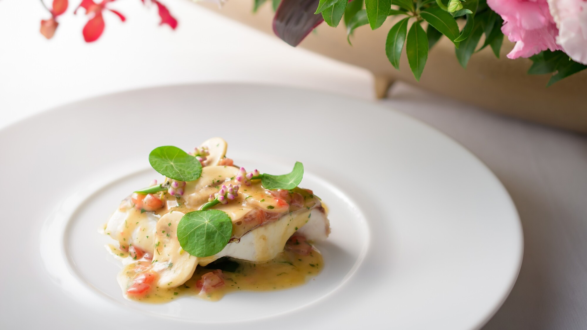 お祝いプランイメージ