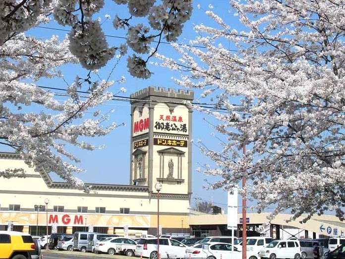 桜の木の隙間から見る御老公の湯境店