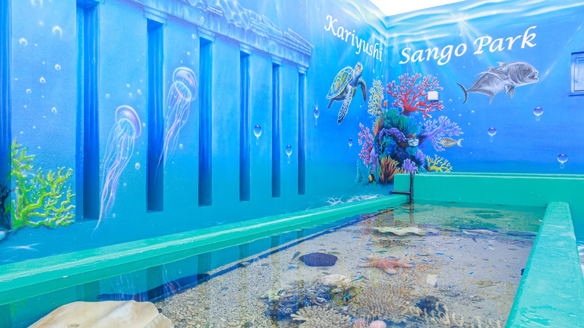 さんごパークタッチプール