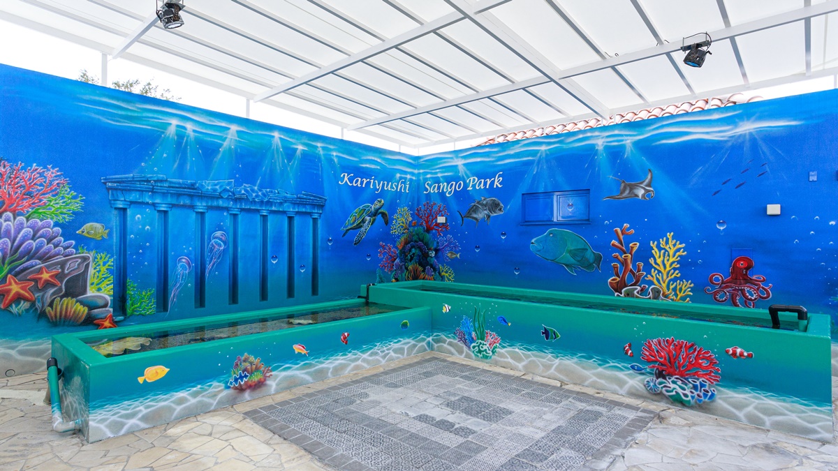 さんごパークタッチプール