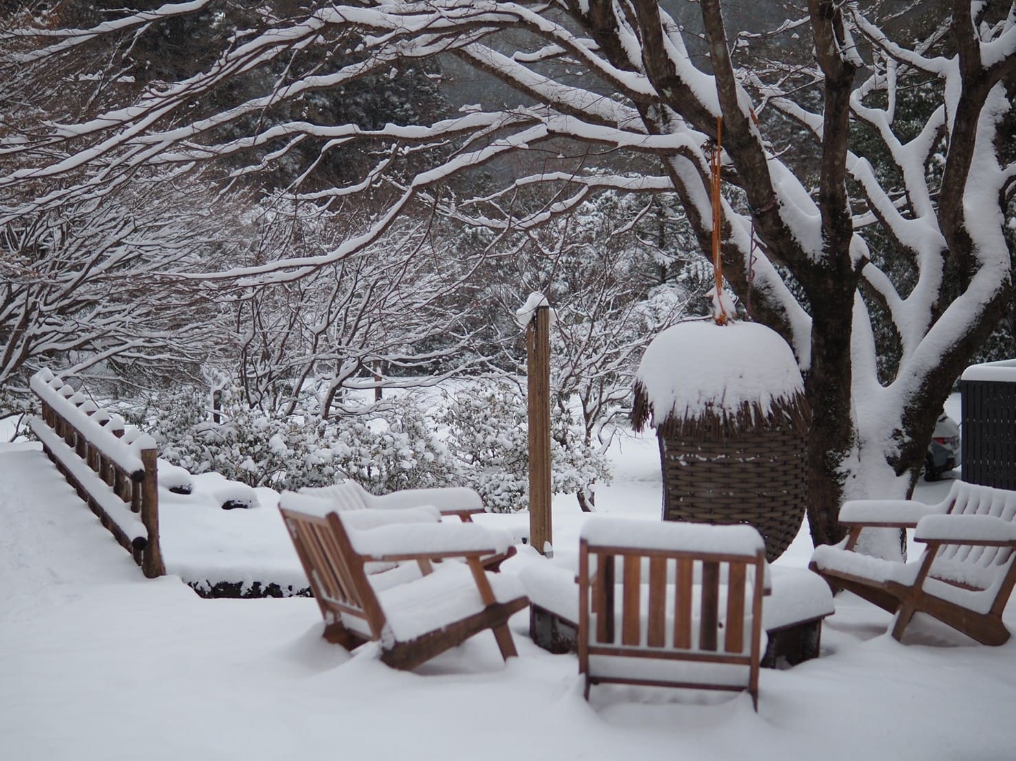 【冬季限定】静けさを楽しむ “ウィンターステイ” 1泊2食付