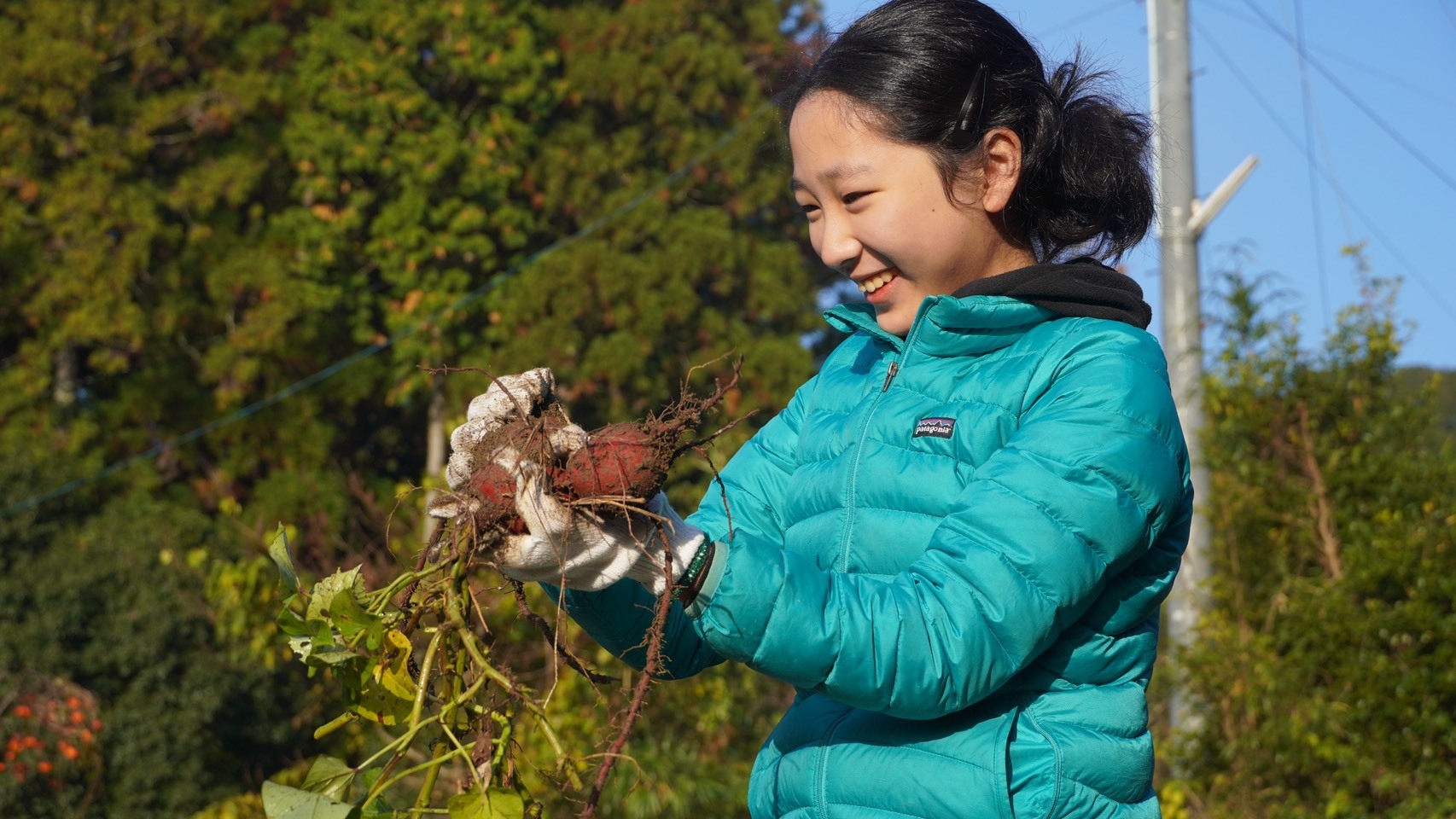 【1日1組限定】自然栽培家きんたろうと一緒に♪森の国ValleYの暮らしまるごと体験プラン1泊2食