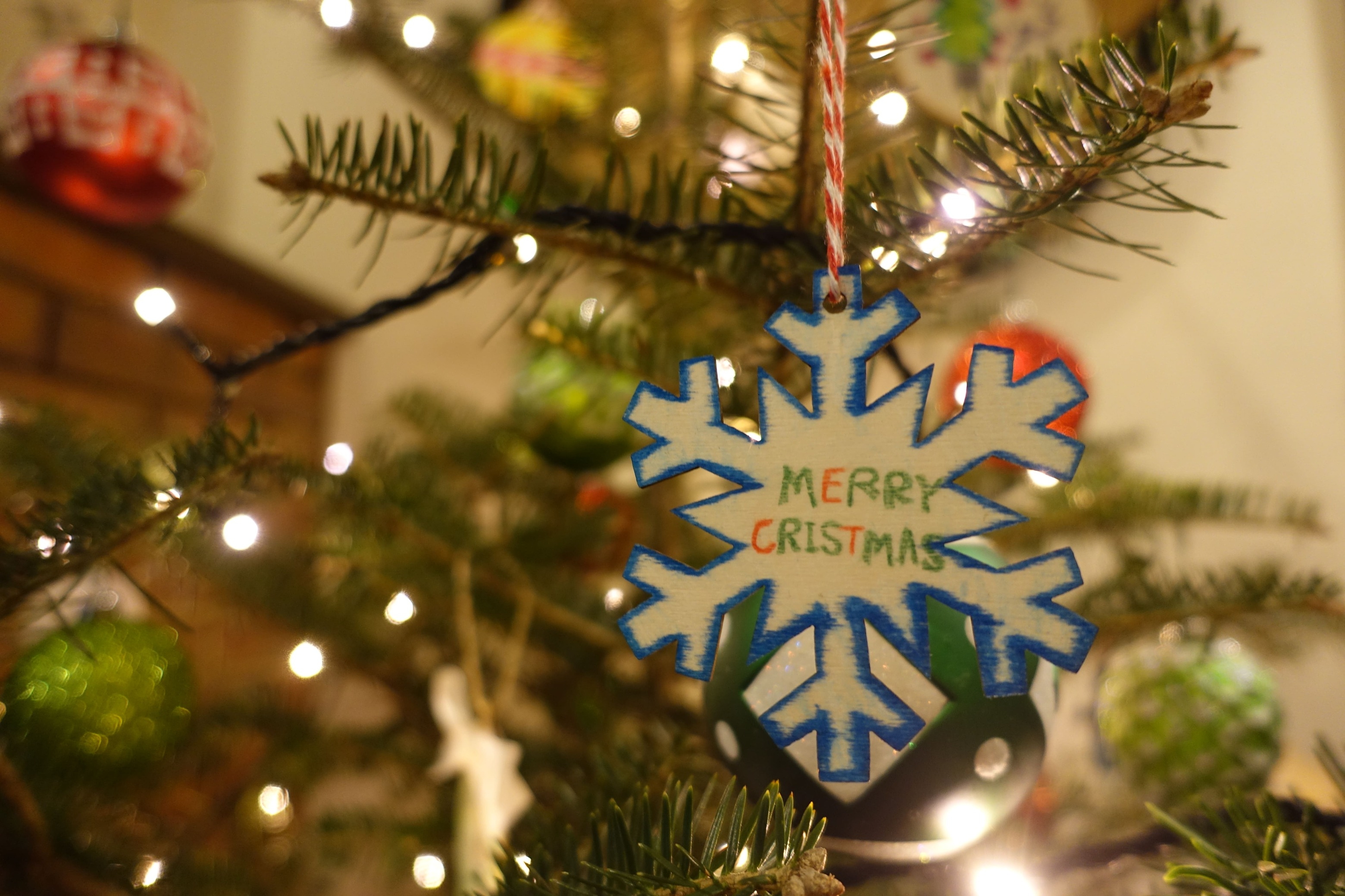 【クリスマス限定】ロッジで楽しむ特別ディナー付きステイ1泊2食付き