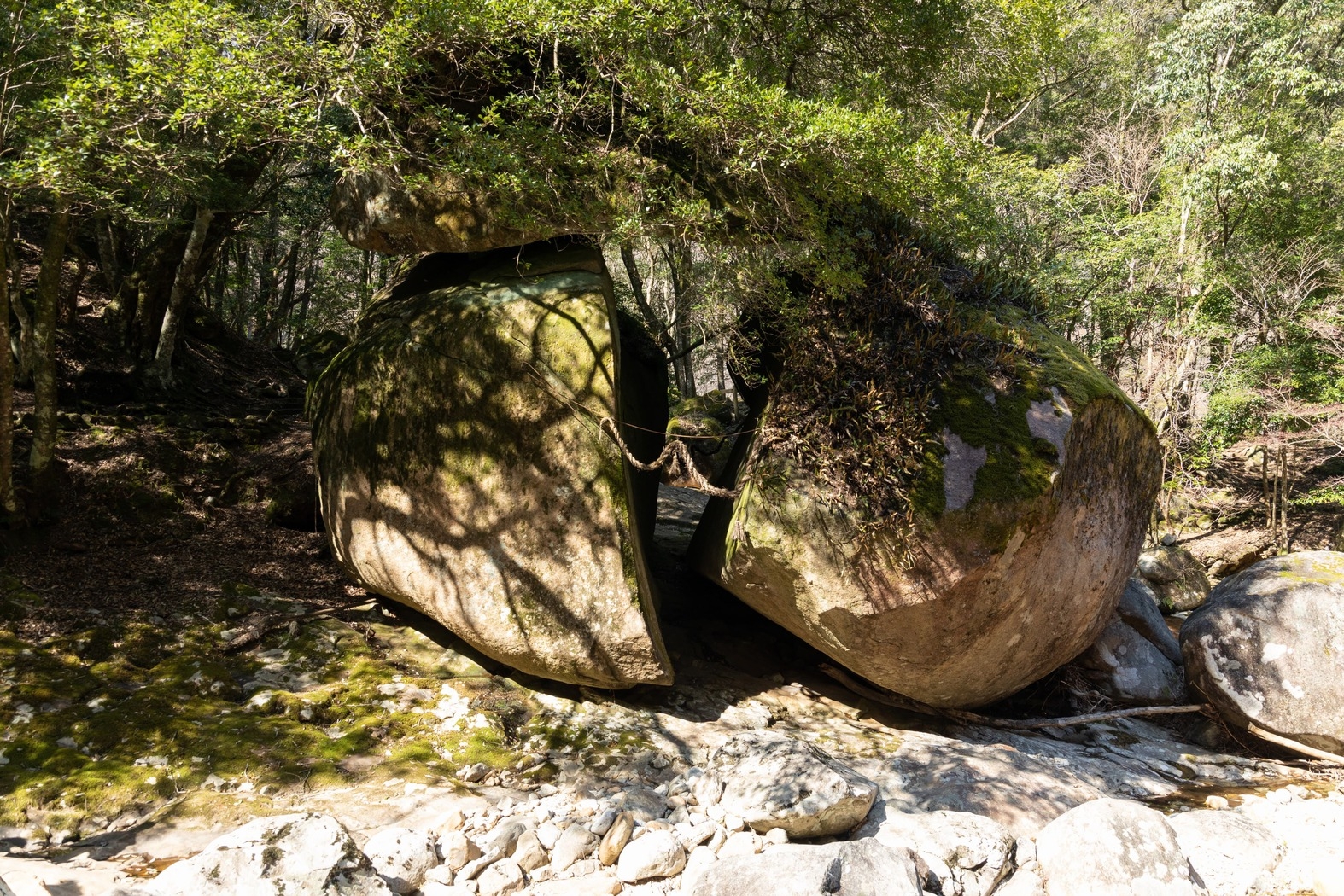 【年末年始限定】ロッジで冬ごもり 年末年始ステイ 1泊2食付き