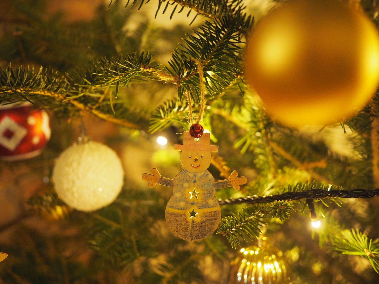 【クリスマス限定】ロッジで楽しむ特別ディナー付きステイ1泊2食付き