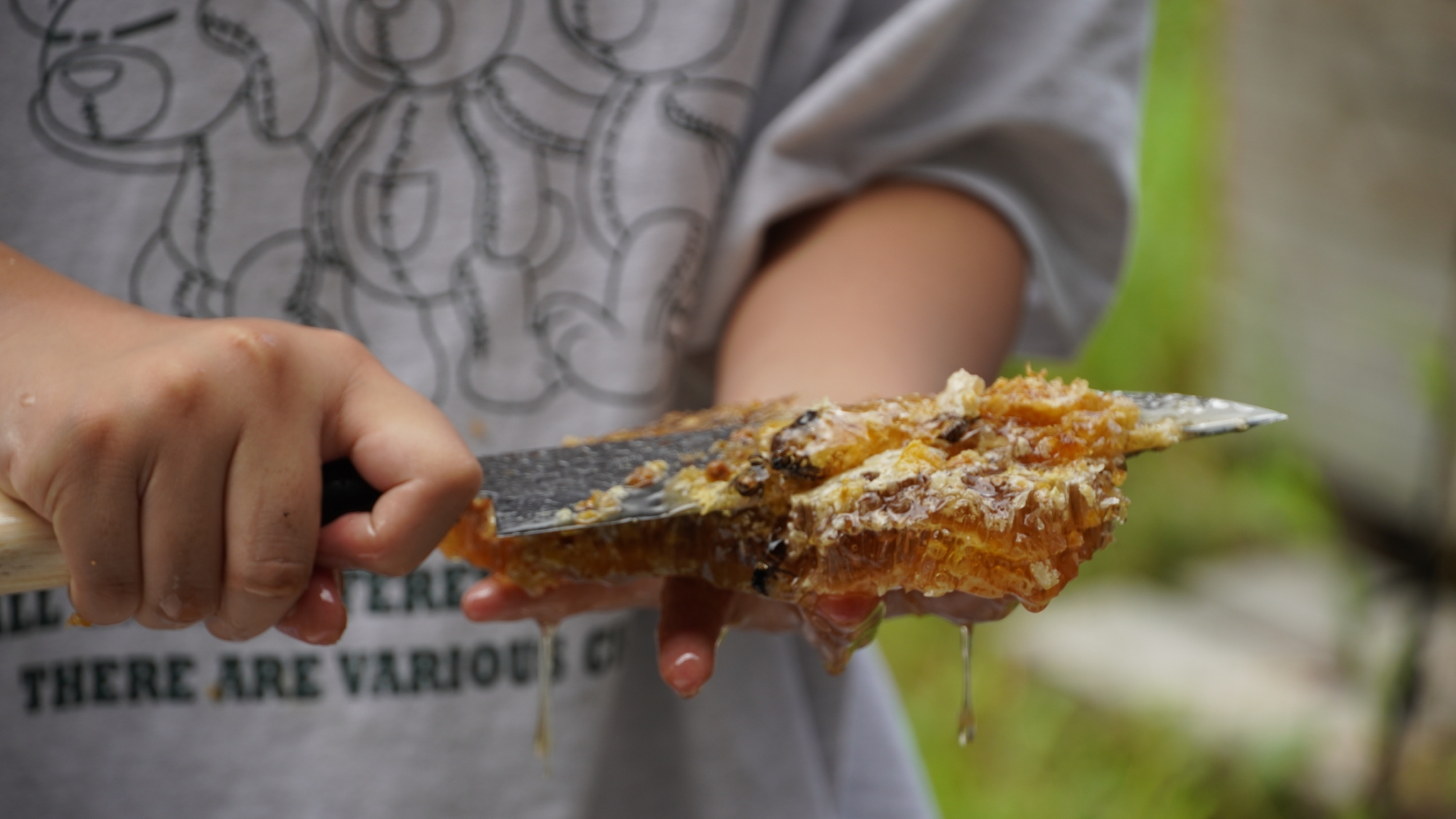 森の国の営み・養蜂