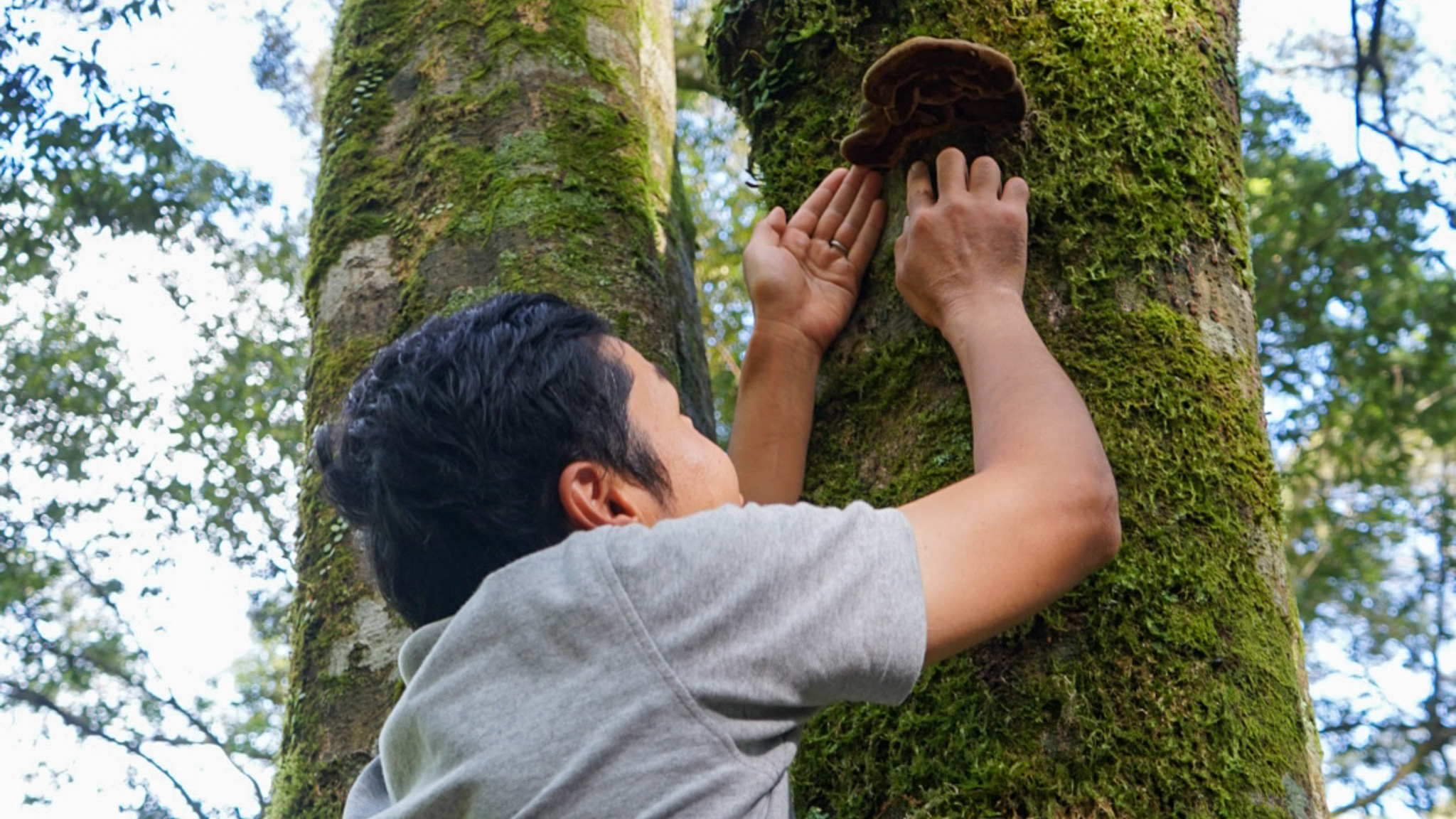 ネイチャーガイド
