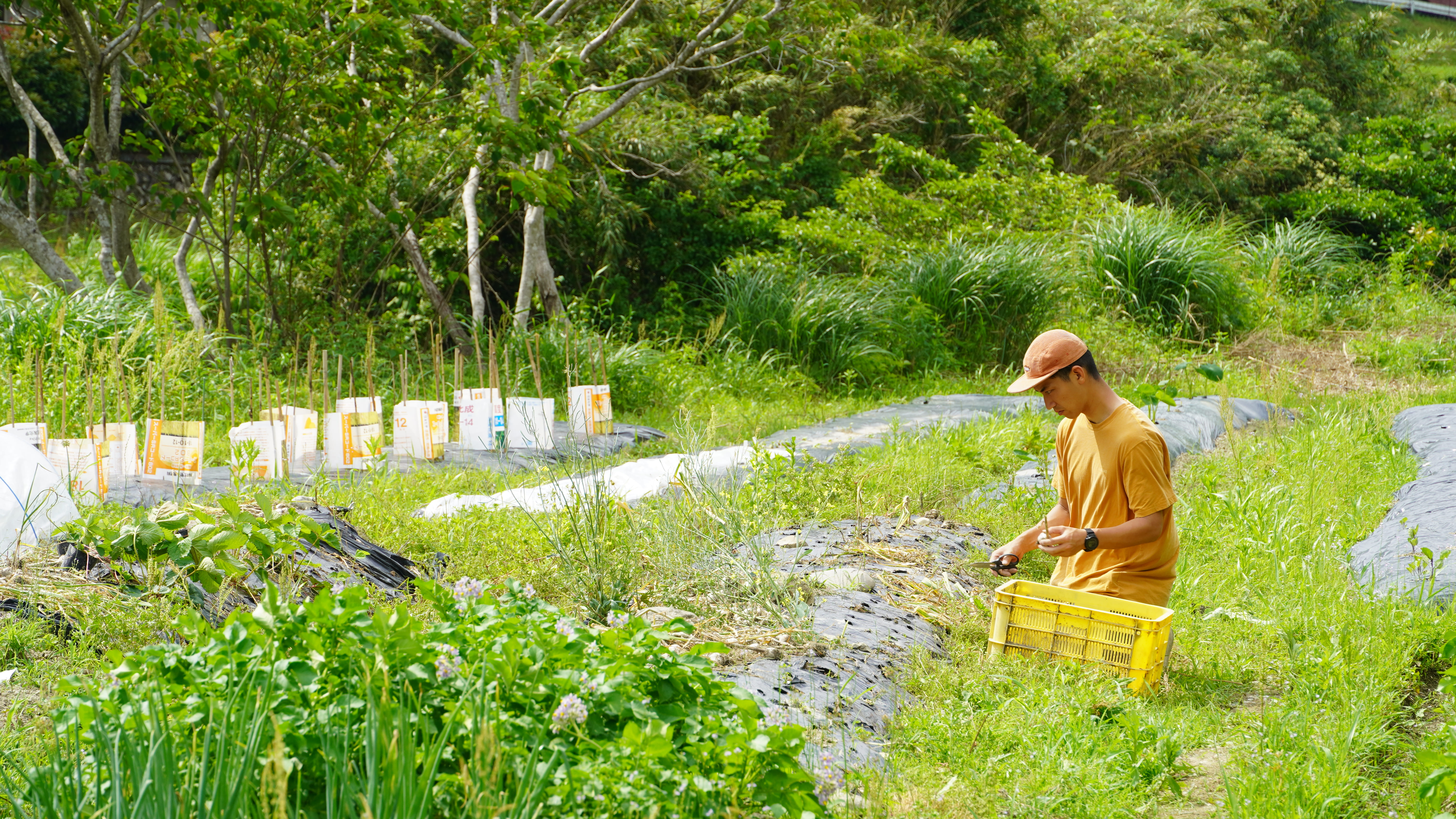 森の国の営み・農作業