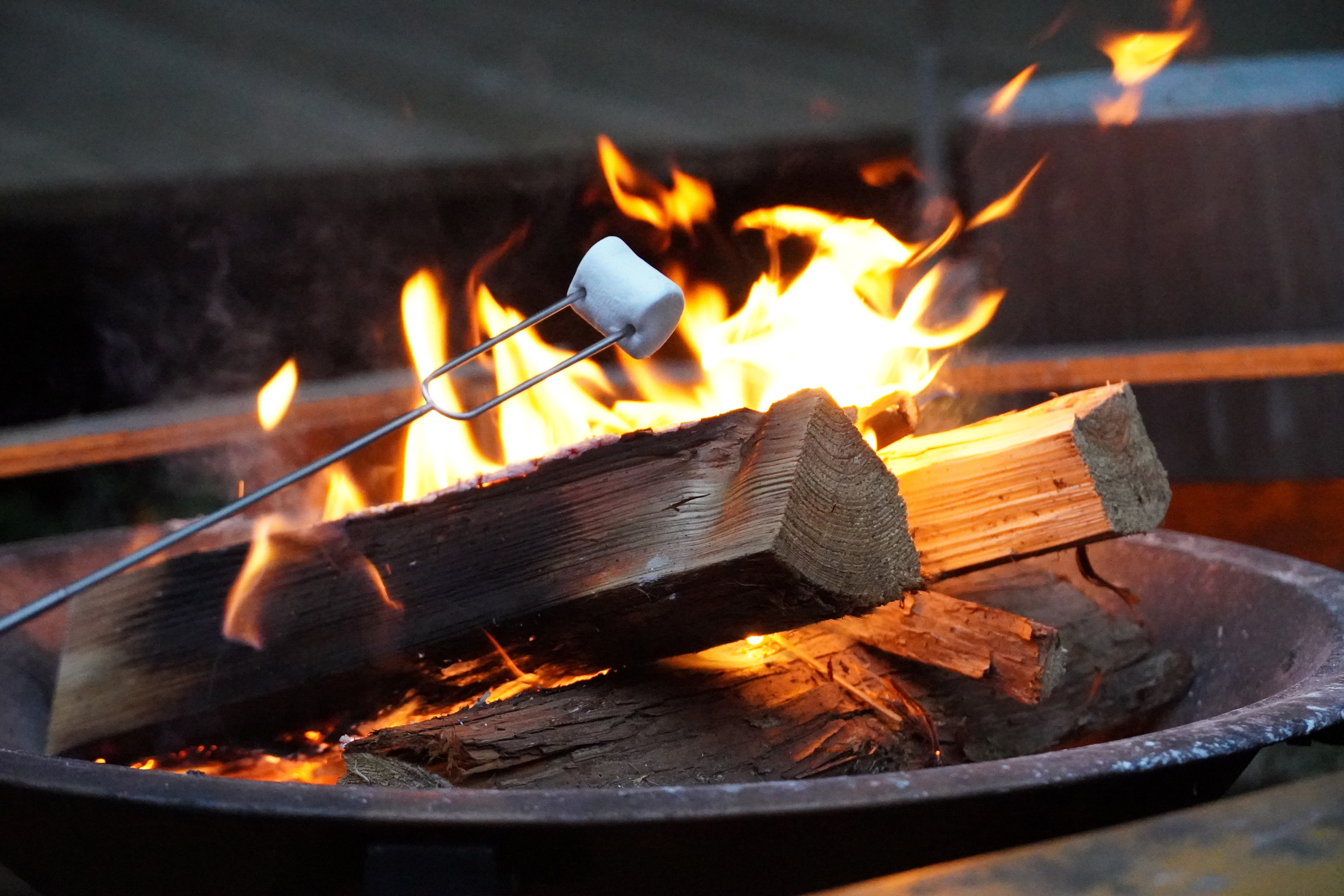 焚き火マシュマロ