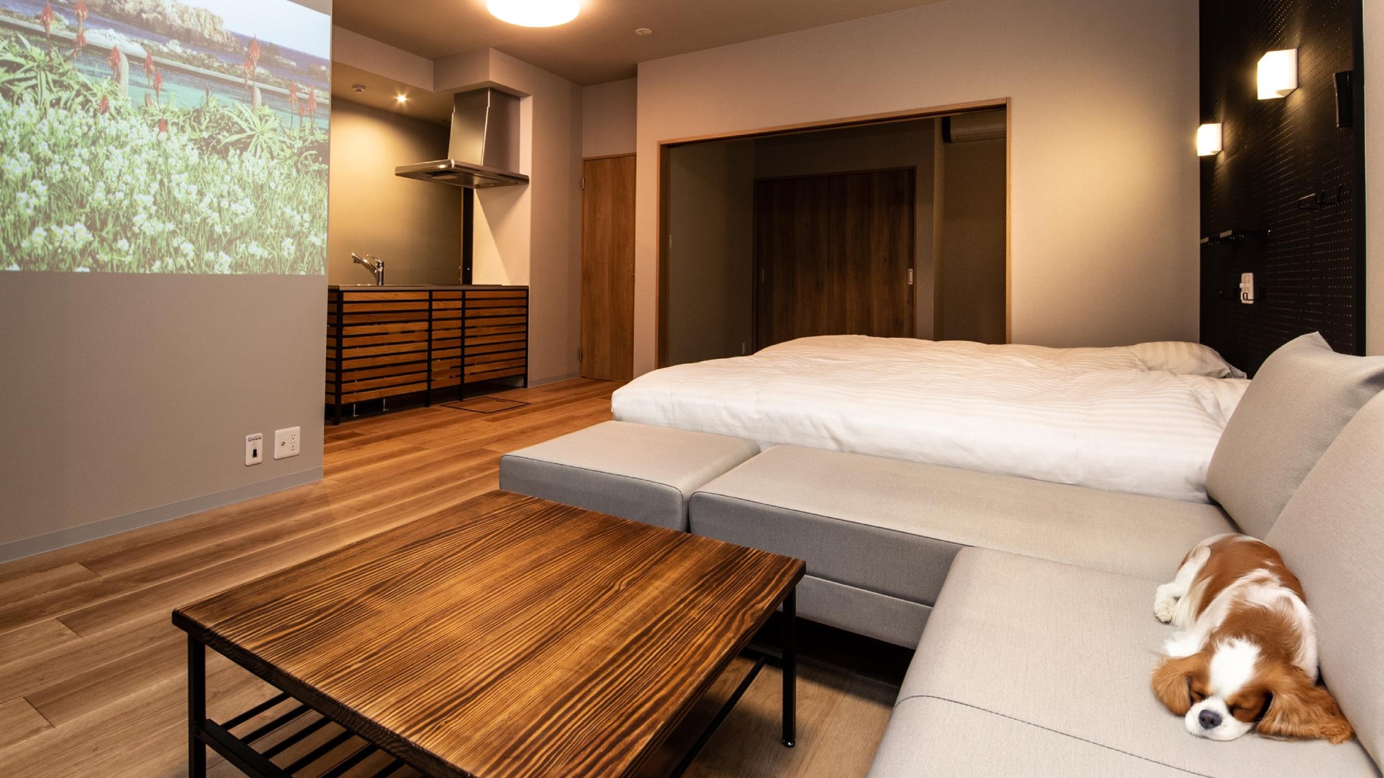 【スタンダード】【ドッグフレンドリールーム】プロジェクター搭載のリビング