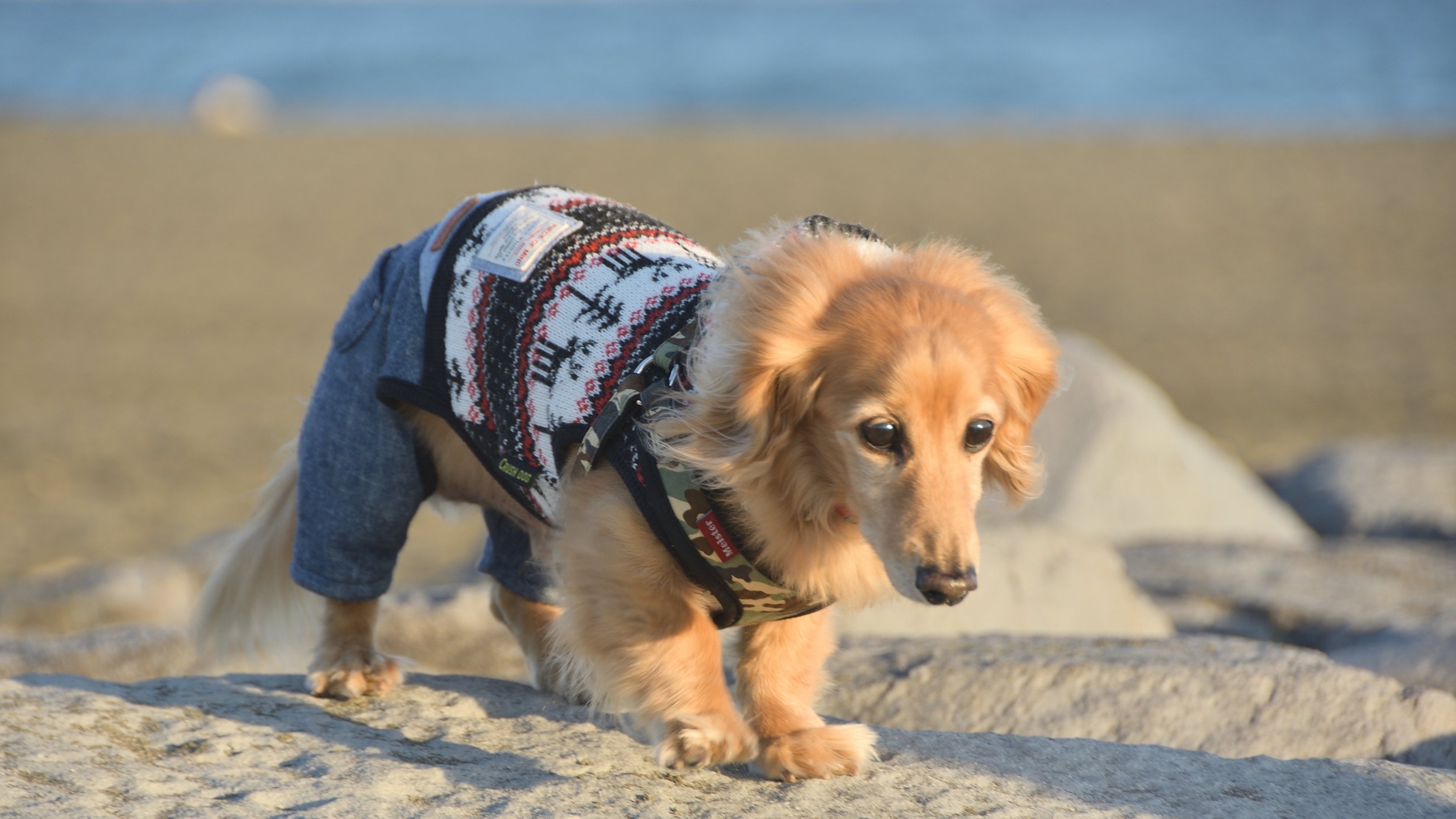 【連泊割★15％OFF】条件達成でポイント10倍★半露天風呂＆BBQテラス付き客室でリラックス♪